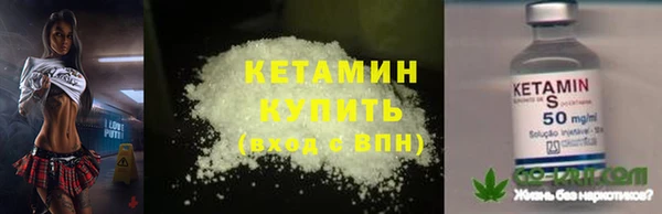 сатива Орск
