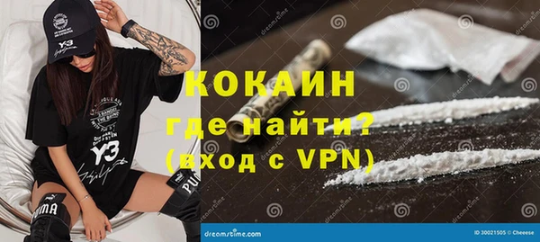 гашик Верея