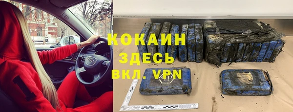 гашик Верея
